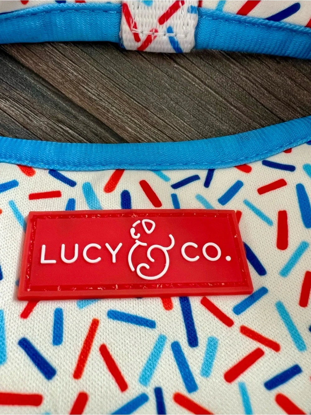 Lucy & Co. Ice Cream Print Dog Harness in Blue